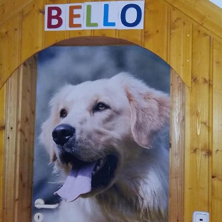 Ferienwohnung Auf Schaefers Spuren Buergstadt Esterno foto